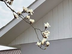 -无锡梅园公园