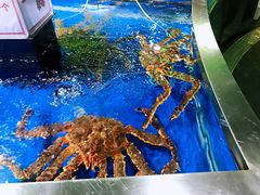 -盒马鲜生(莱蒙都会店)