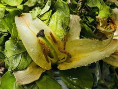 -又一春 Spring Garden