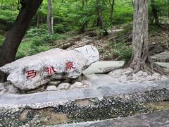 -皇藏峪国家森林公园