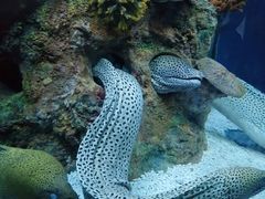 -水上乐园·欢乐世界