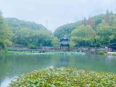 -忠山公园