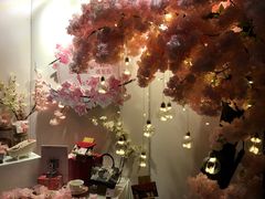 -TZ House音乐现场(茅台店)