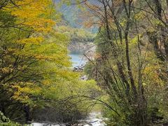 -叠溪松坪沟景区