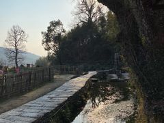 -塔川景区