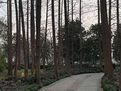 -杭州西湖桔子水晶酒店