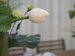 -汉艺唐风茶艺培训(联发华美空间店)