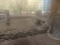 -中家鑫园温泉酒店鑫悦汤泉