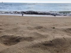 -海云台海滩