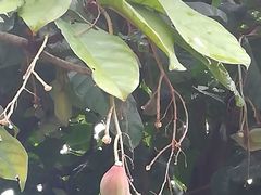 -润记农家菜