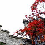 镇江.西津渡老街||沉静的姿态.悠远的韵味