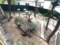 -大连森林动物园