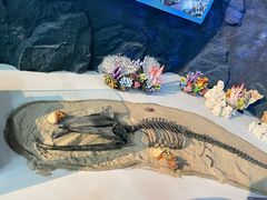 -上海中国航海博物馆