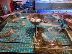 -领鲜活海鲜榴莲自助火锅(东门店)