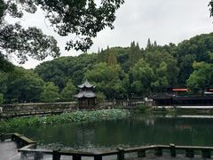 -忠山公园