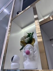 -MIDA蜜哒•科技逆龄美肤连锁