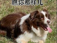 -蓝地时尚庄园(北京清河营地铁站店)