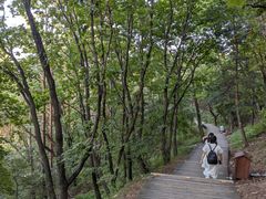 -帽儿山国家森林公园