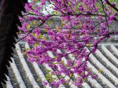 -万寿八仙宫