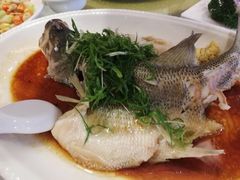 -碧海渔村(黄埔东路店)