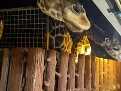 -清迈夜间动物园