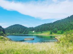 -武陵山森林公园