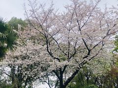 -昆山城市公园