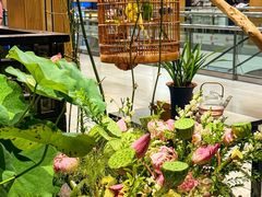 -淮扬府·游园京梦(北京SKP店)