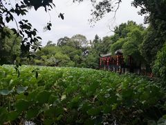 -房湖公园
