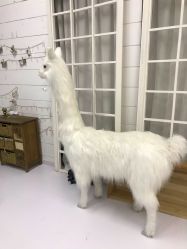 -星宝贝儿童摄影