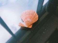 -青岛银沙滩