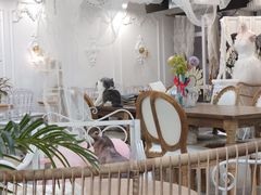 -共舞时光猫咖·狗咖(新街口店)