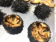 -蚝专家(北滘店)