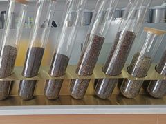 -雾与山茶(大禹城店)