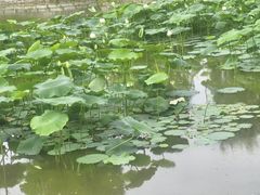 -天赐温泉