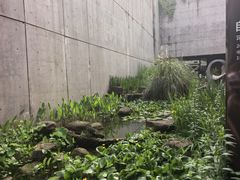 -中国湿地博物馆