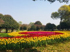 -上海鲜花港