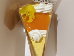 -夏佐CHASEL(横店康庄路店)