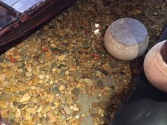 -颐和•海鲜砂锅粥•啫啫煲(奥林匹克广场店)