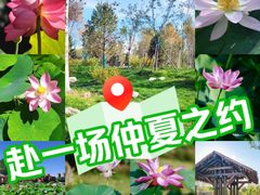 -野鸭湖国家湿地公园