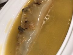 金虫草瑶柱炖花胶-江南赋(内蒙古大厦店)