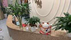 -芳朵美容养生SPA