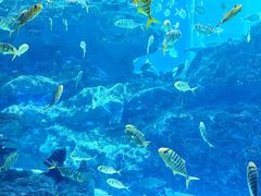 -海合安成都极地海洋公园