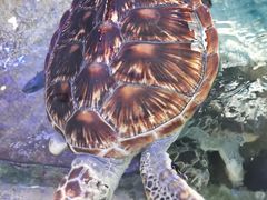 -鸿通城购物中心