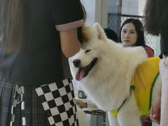 -怪兽屋·羊驼·猫咖·狗咖(俊华广场店)