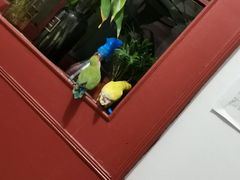 -pd派德宠物中心医院24H急重症·眼科中心·血液透析中心(嵩山北路店)