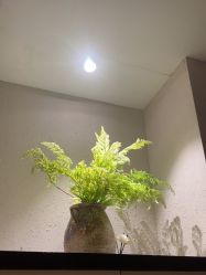 -香秀空间科技抗衰·美容中心