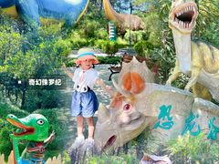 -佛冈森波拉度假区