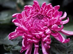 -共青国家森林公园-售票处