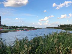 -春花秋色城市公园